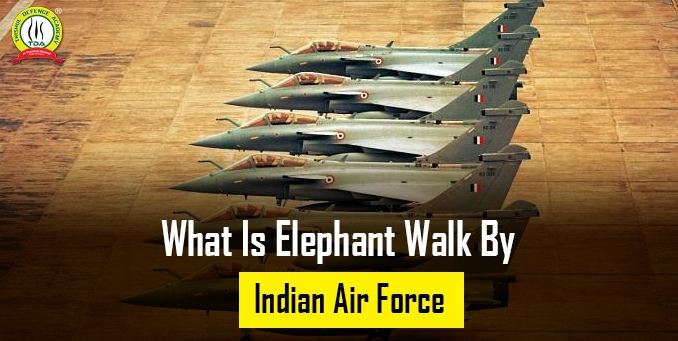 What Is Elephant Walk