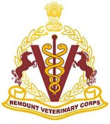 Remount-and-Veterinary-Corps